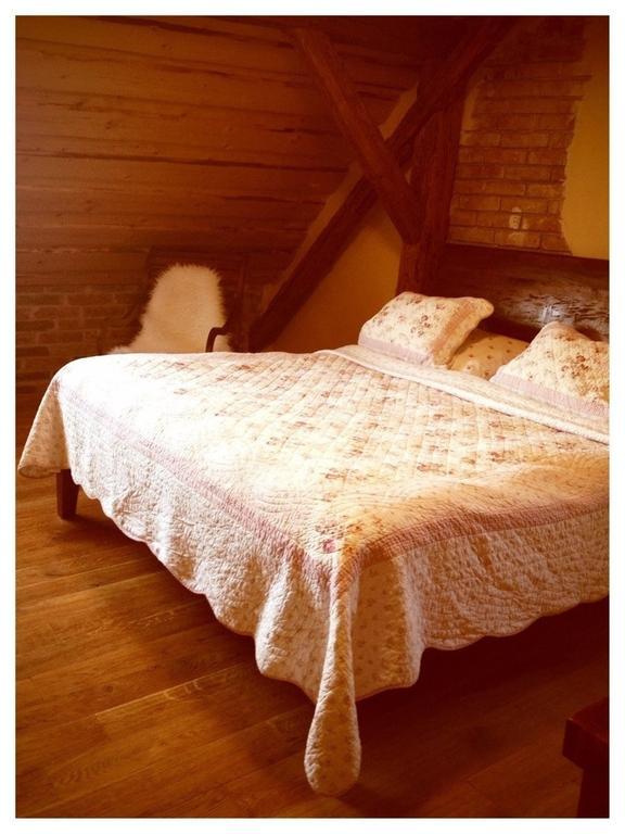 Dvur Olsiny -Hotel And Horse-Riding Karviná Zimmer foto